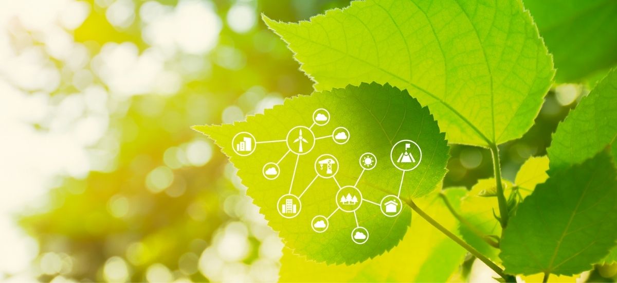 Is Sustainability a matter of attitude?