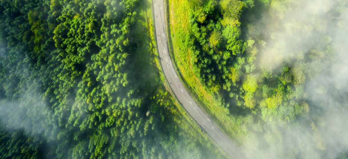 Optimizing Additive Manufacturing: Hints from Mother Nature 